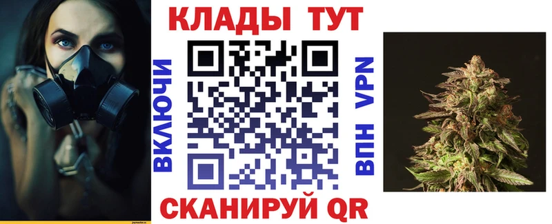 Продажа наркотиков Новоузенск Cocaine  ГАШИШ  Конопля 
