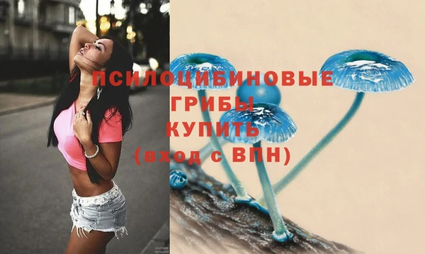 мяу мяу кристалл Алексин